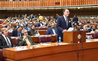 Balancing Defense Priorities with Social Sector Development