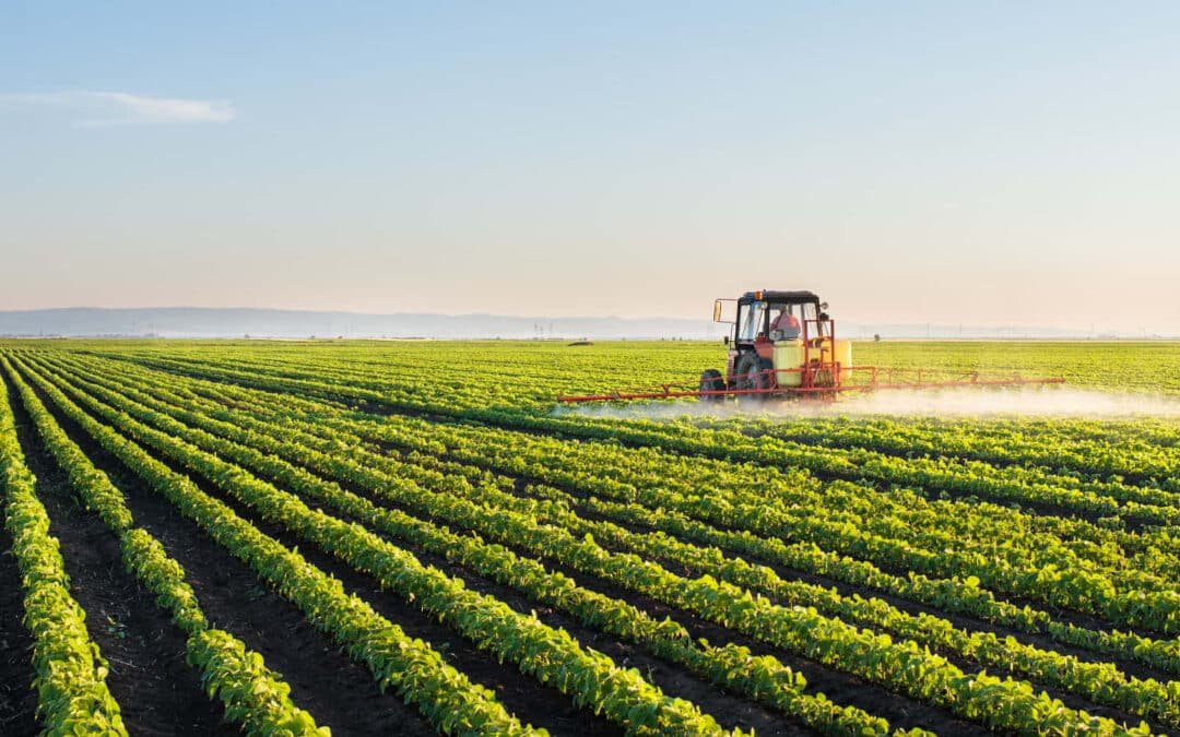 Food Security vs. Agricultural Exports: Balancing Domestic Needs with International Trade Commitments