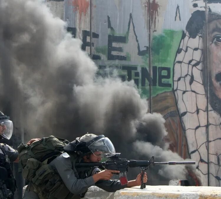 Weekly Roundup | Palestine-Israel Conflict | Genocide & Apartheid