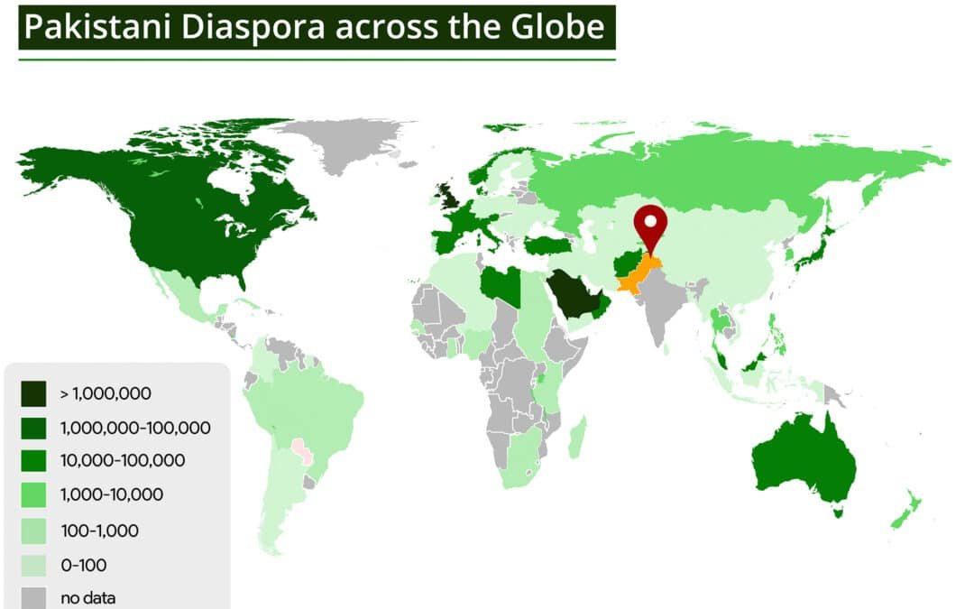 Pakistani Diaspora in Digital Battles: Victims, and Amplifiers