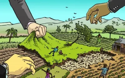 Land Disputes: Addressing a Persistent Challenge in Rural and Urban Areas