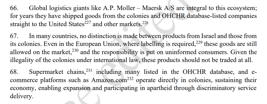 Para 66-68 of Report [A/HRC/59/23]
