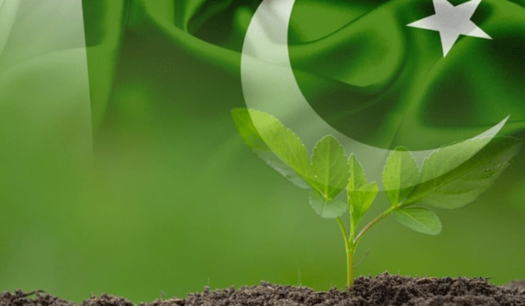 Climate Diplomacy at a Crossroads: Beyond Emission Targets