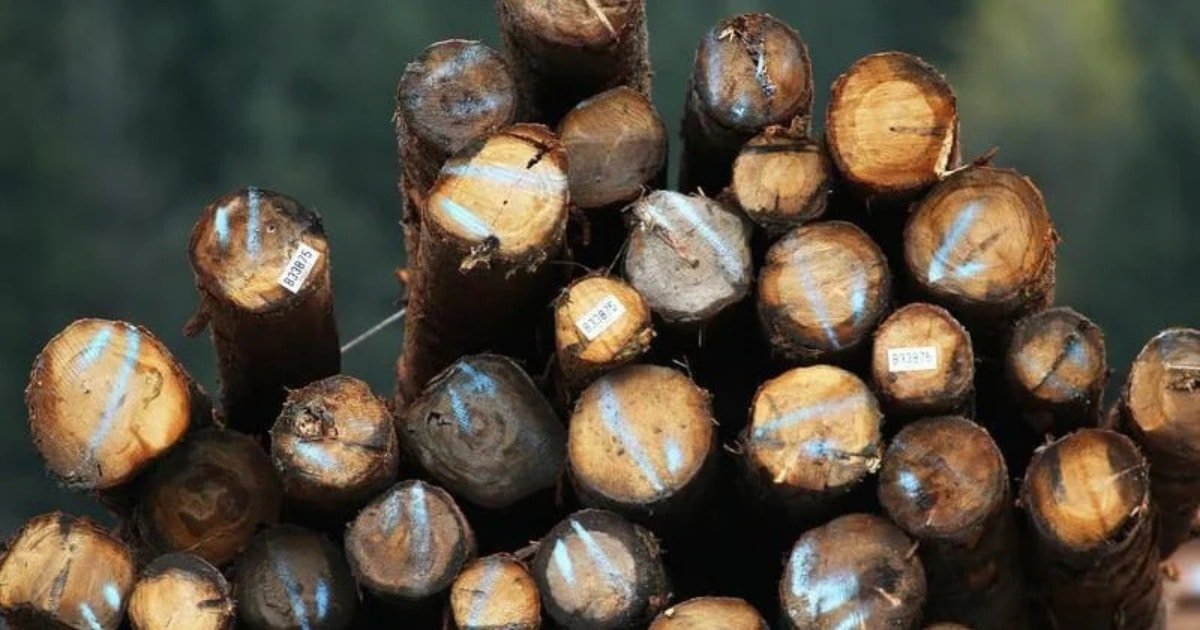 Environmental Lawfare (2) wood