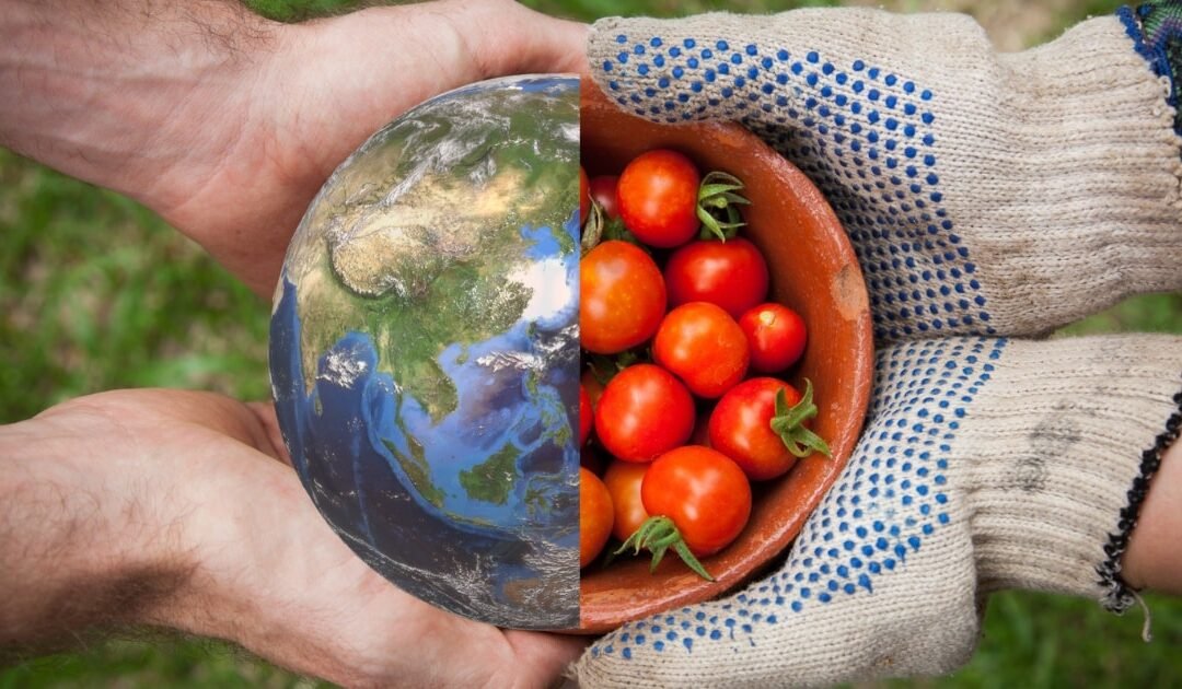 The Future of Food Security: Beyond Production to the Geopolitics of Supply Chain Resilience and Agricultural Nationalism