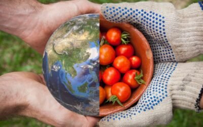 The Future of Food Security: Beyond Production to the Geopolitics of Supply Chain Resilience and Agricultural Nationalism