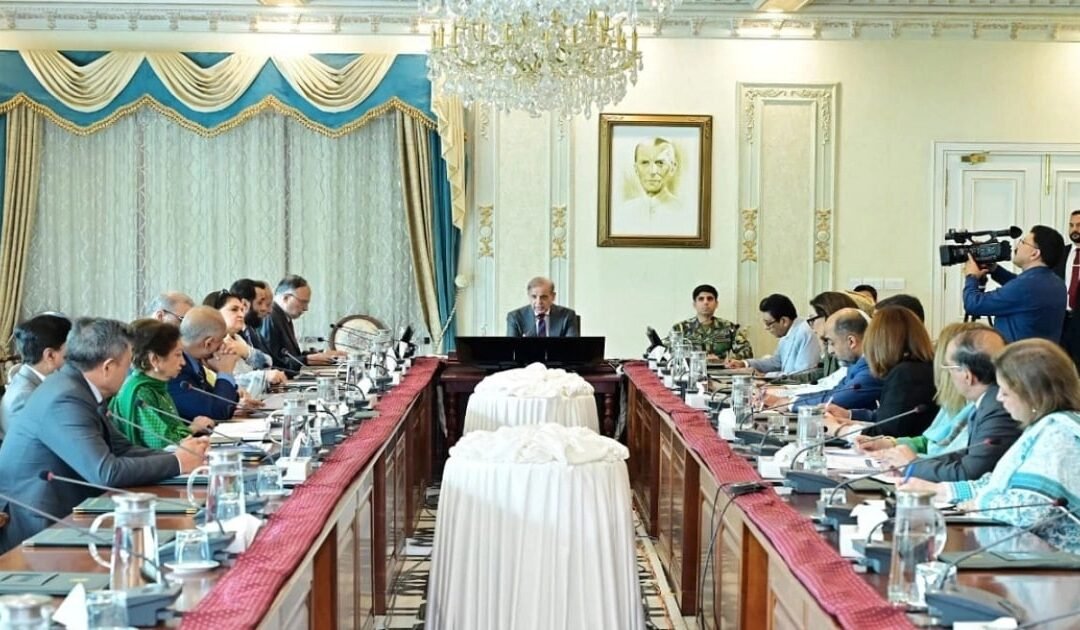 Prime Minister Shehbaz Sharif Chairs Meeting to Address Population Growth and Youth Employment