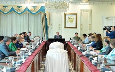 Prime Minister Shehbaz Sharif Chairs Meeting to Address Population Growth and Youth Employment