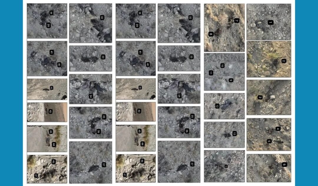 TODAYSTANCE Pakistan Army’s Courageous Strike | 47 India-Backed Terrorists Neutralized in Zhob, Balochistan