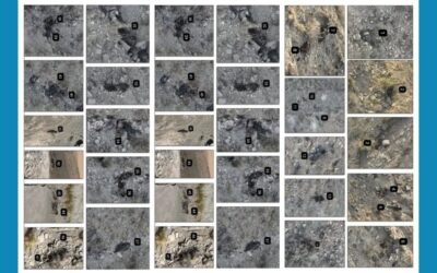 Pakistan Army’s Courageous Strike | 47 India-Backed Terrorists Neutralized in Zhob, Balochistan