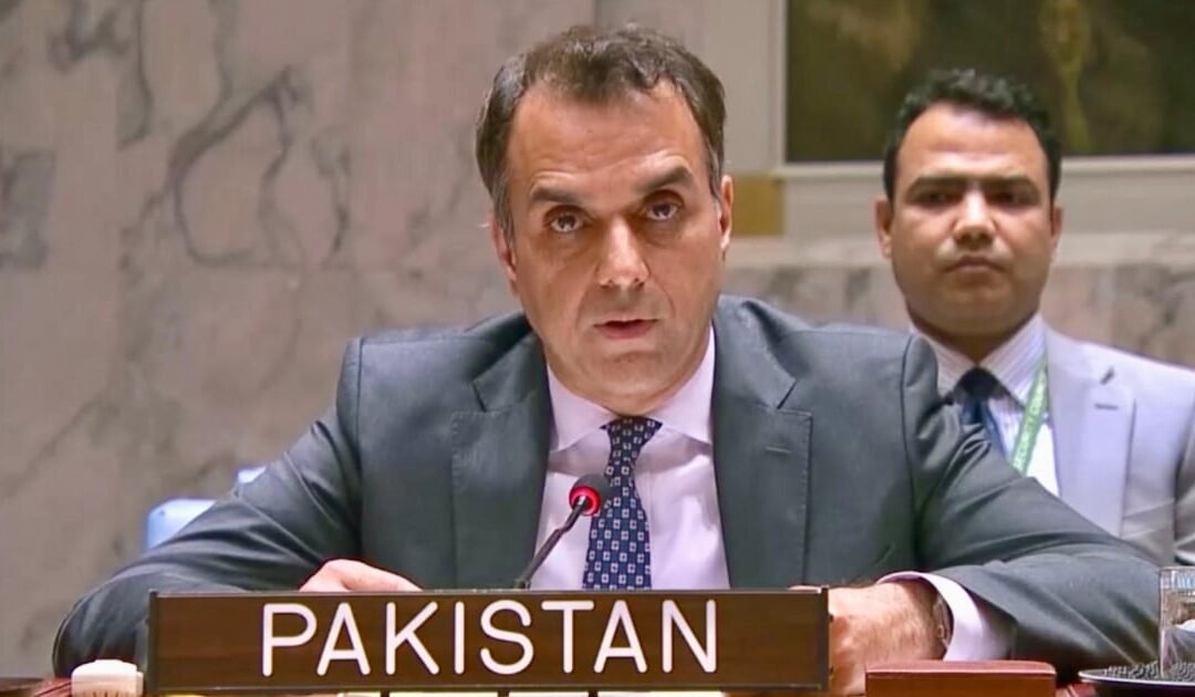 Pakistan Calls for Inclusive, Libyan-Led Political Process and Stability at UN Security Council