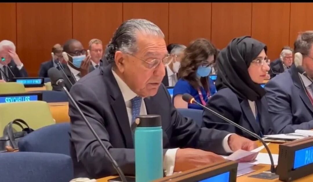 Pakistan and G77: Leadership Opportunity or Missed Platform for Global South Solidarity?