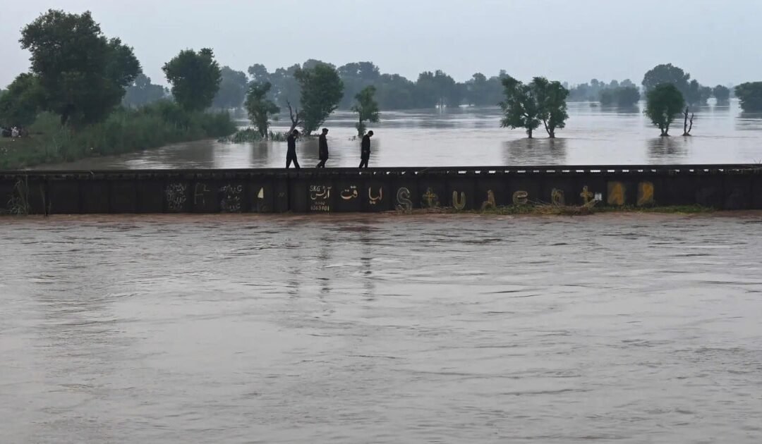 Punjab Grapples with Worsening Flood Crisis | 22 Dead, 1.2 Million Displaced as Rivers Overflow