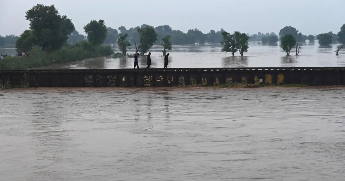 Punjab Grapples with Worsening Flood Crisis , 22 Dead, 1.2 Million Displaced as Rivers Overflow Punjab Grapples with Worsening Flood Crisis , 22 Dead, 1.2 Million Displaced as Rivers Overflow