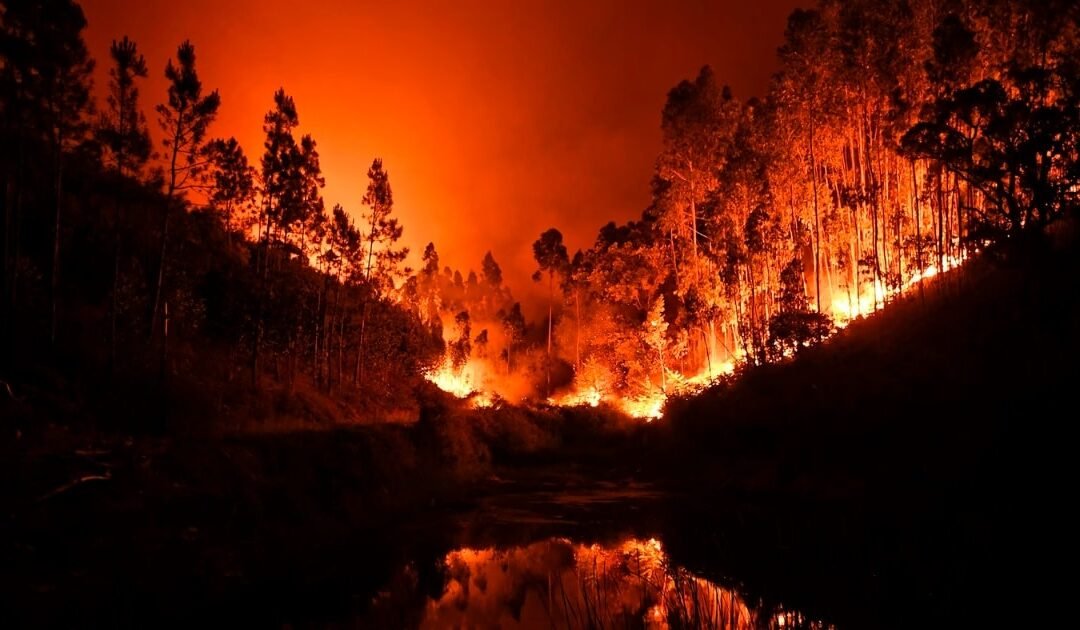 Portugal Battles Wildfires as Heatwave Spurs Emergency Response
