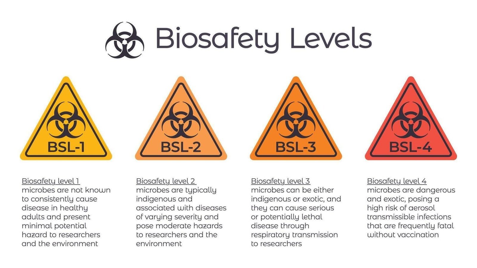 The Bio-Terrorism Renaissance: Assessing Global Preparedness for Synthetically Engineered Pathogens, and Dual-Use Research Risks bio safety levels