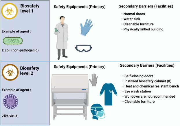 The Bio-Terrorism Renaissance: Assessing Global Preparedness for Synthetically Engineered Pathogens, and Dual-Use Research Risks Biosafety levels guide