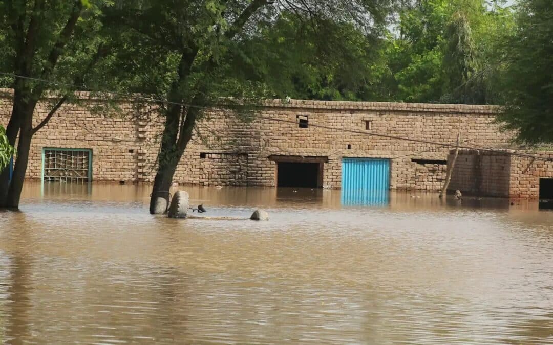 Catastrophic Floods Displace Over 2.1 Million Across Punjab, and Sindh