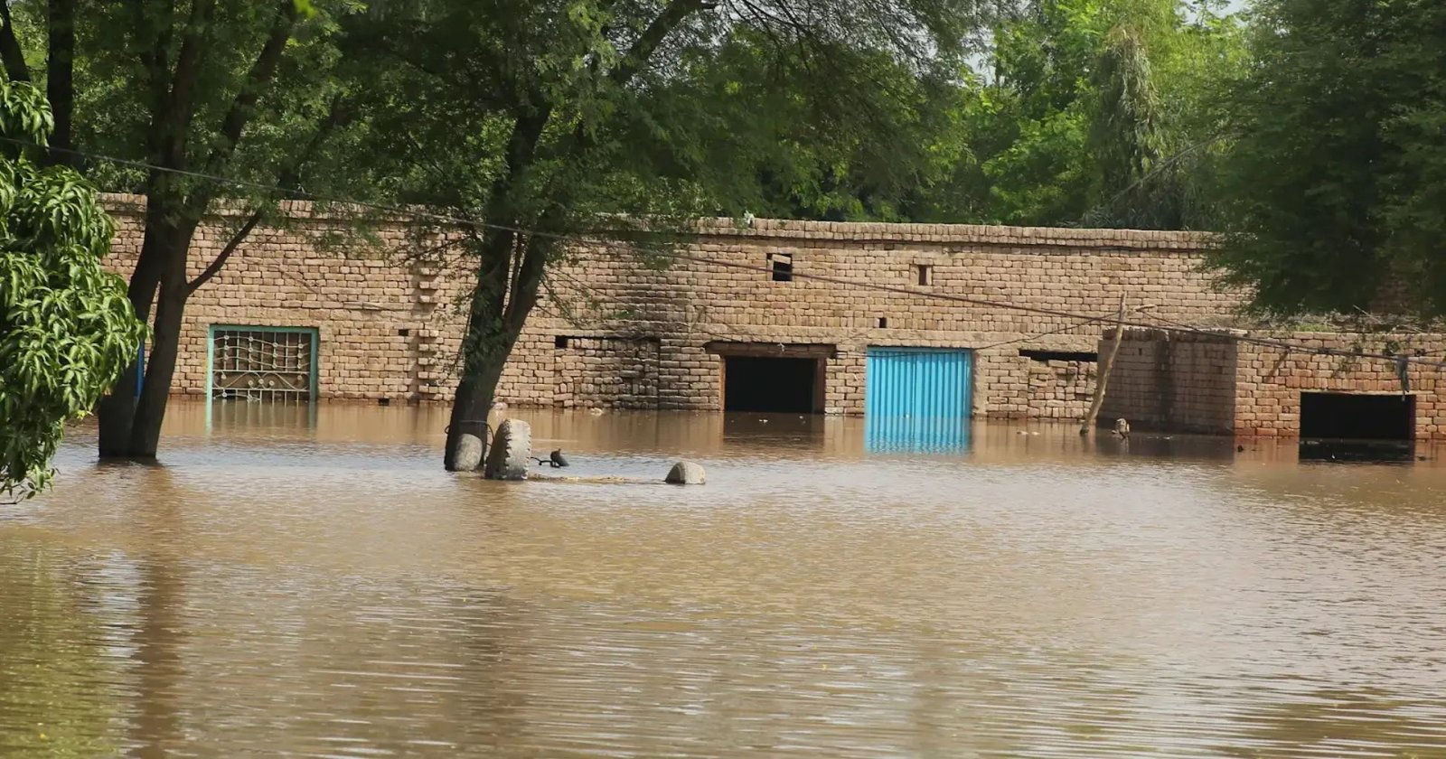 Catastrophic Floods Displace Over 2.1 Million Across Punjab, and Sindh Catastrophic Floods Displace Over 2.1 Million Across Punjab, and Sindh