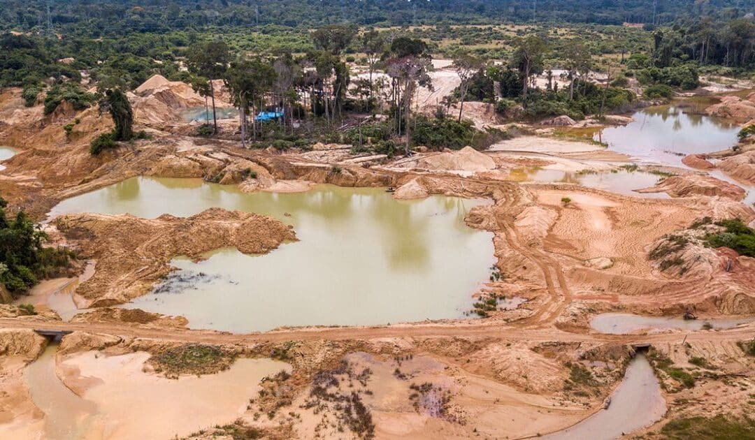 Organised Crime and the Climate Crisis: Illegal Logging, Sand Mining, and Pakistan’s Environment