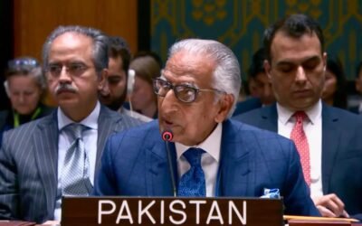 Pakistan Calls for Peace and Dialogue to End Russia-Ukraine Conflict at UN Security Council