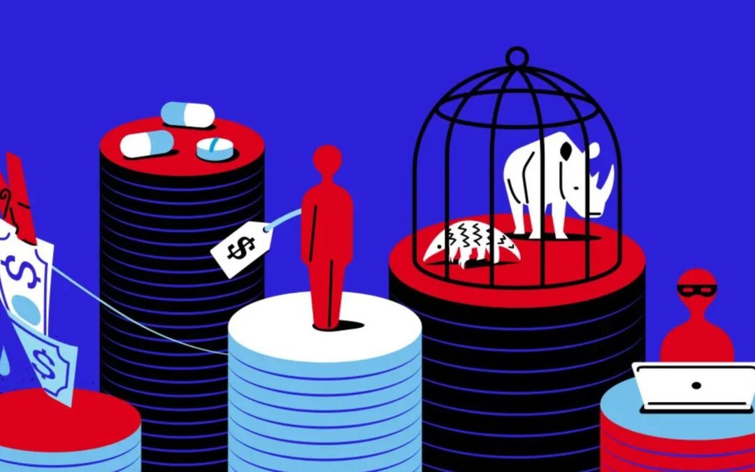 The Symbiosis of Crime, and Terror