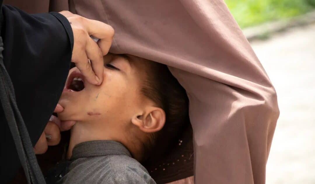 The Anti-Polio Jihad: Exposing FAK’s Deliberate Campaign Against Public Health Initiatives