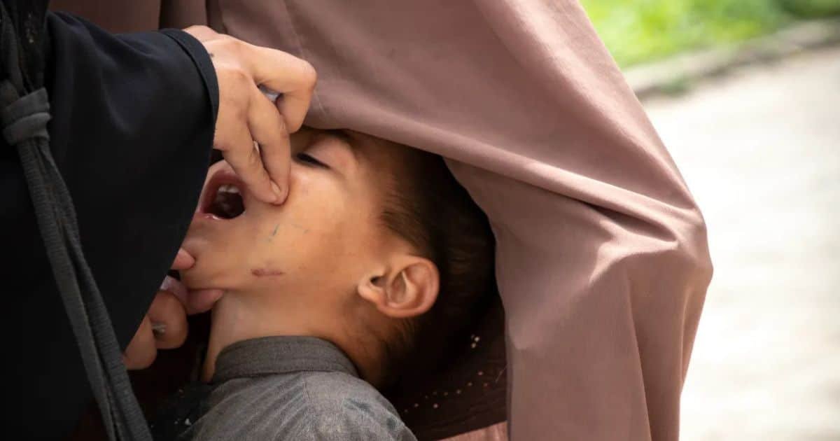 The Anti-Polio Jihad, Exposing FAK’s Deliberate Campaign Against Public Health Initiatives The Anti-Polio Jihad, Exposing FAK’s Deliberate Campaign Against Public Health Initiatives