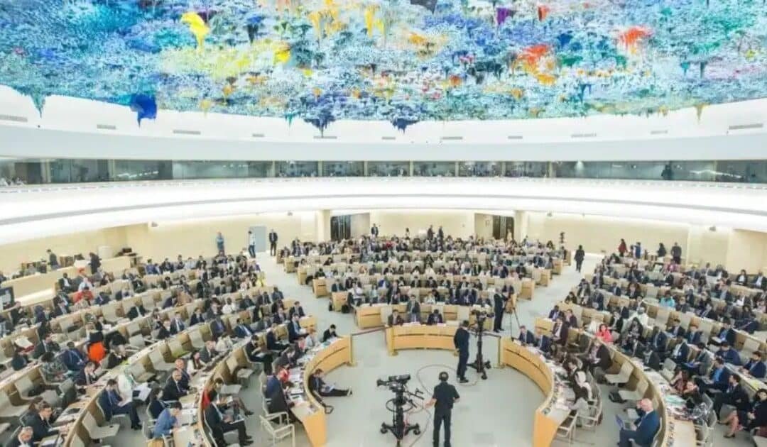 Egypt Secures Third Term on UN Human Rights Council, Vows to Advance Reform Agenda