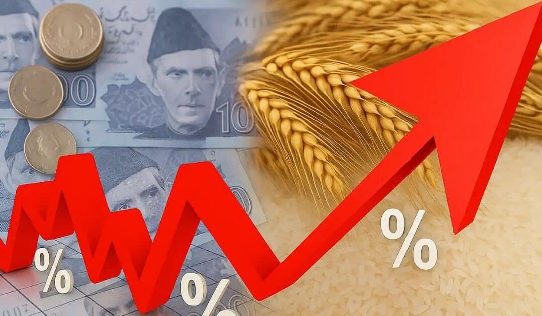 Food Inflation as Geopolitics: How Global Wheat and Rice Shortages Hit South Asia’s Fragile Economies