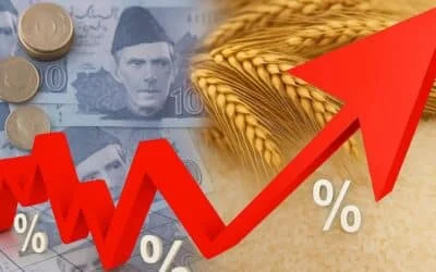 TODAYSTANCE Food Inflation as Geopolitics: How Global Wheat and Rice Shortages Hit South Asia’s Fragile Economies