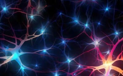 TODAYSTANCE Harvard Psychiatrist: Mental Illness May Begin Inside Brain Cells