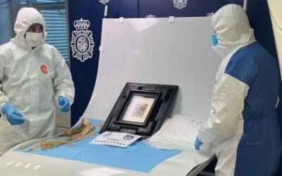Stolen’ Picasso Painting Found at Home After Mistaken Parcel Mix-Up
