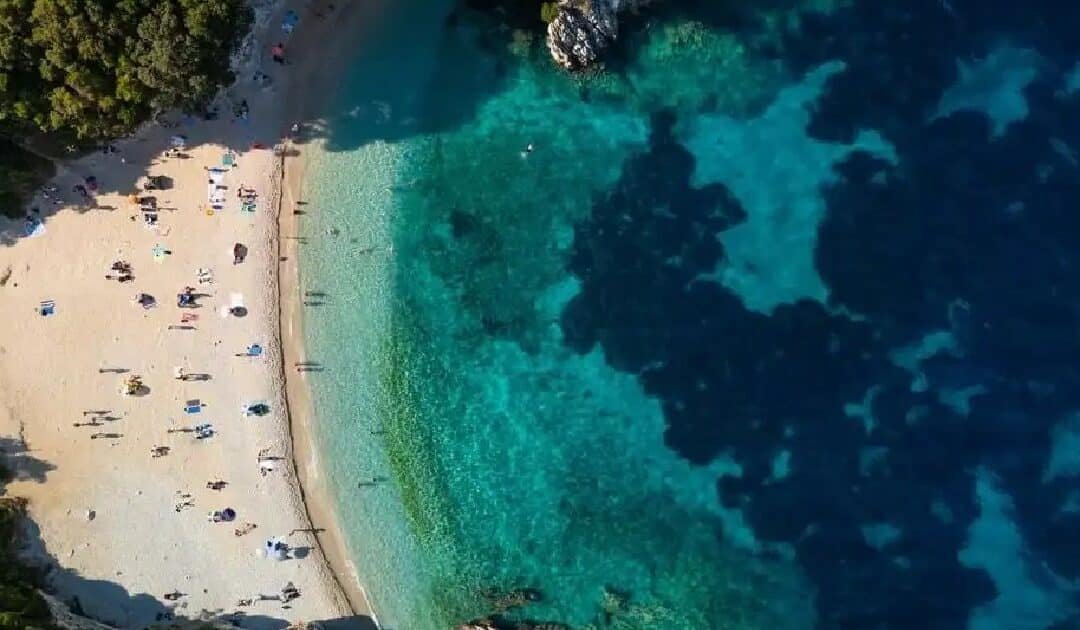 Study Finds World’s Oceans Losing Green Tint as Climate Change Weakens Carbon Absorption