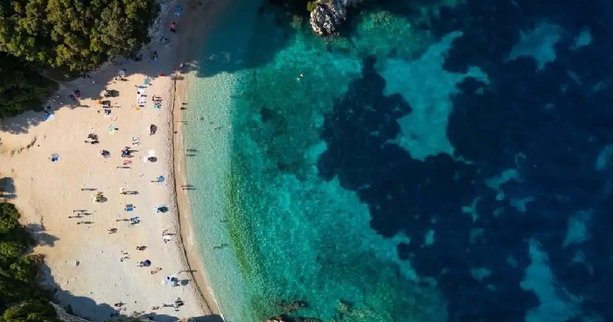 Study Finds World’s Oceans Losing Green Tint as Climate Change Weakens Carbon Absorption Study Finds World’s Oceans Losing Green Tint as Climate Change Weakens Carbon Absorption