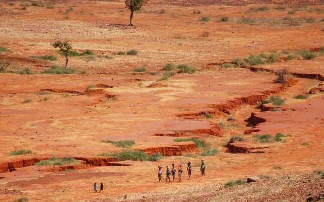 The Silent Frontline: Africa’s Emerging Role in the New Cold War Between the U.S., China, and Russia