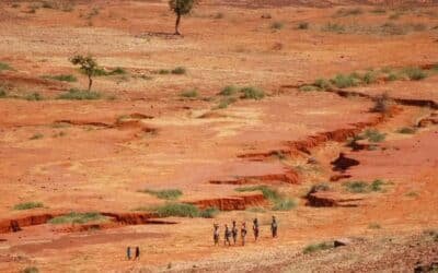 The Silent Frontline: Africa’s Emerging Role in the New Cold War Between the U.S., China, and Russia