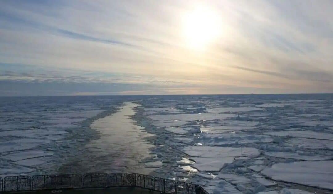 Antarctic Shipwreck Expedition Uncovers Hidden Deep-Sea Ecosystem Beneath Ice