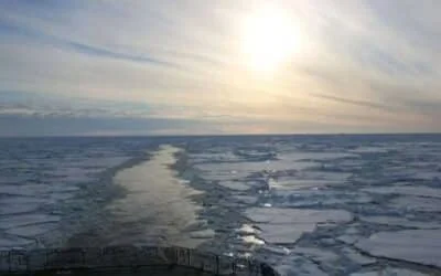 Antarctic Shipwreck Expedition Uncovers Hidden Deep-Sea Ecosystem Beneath Ice