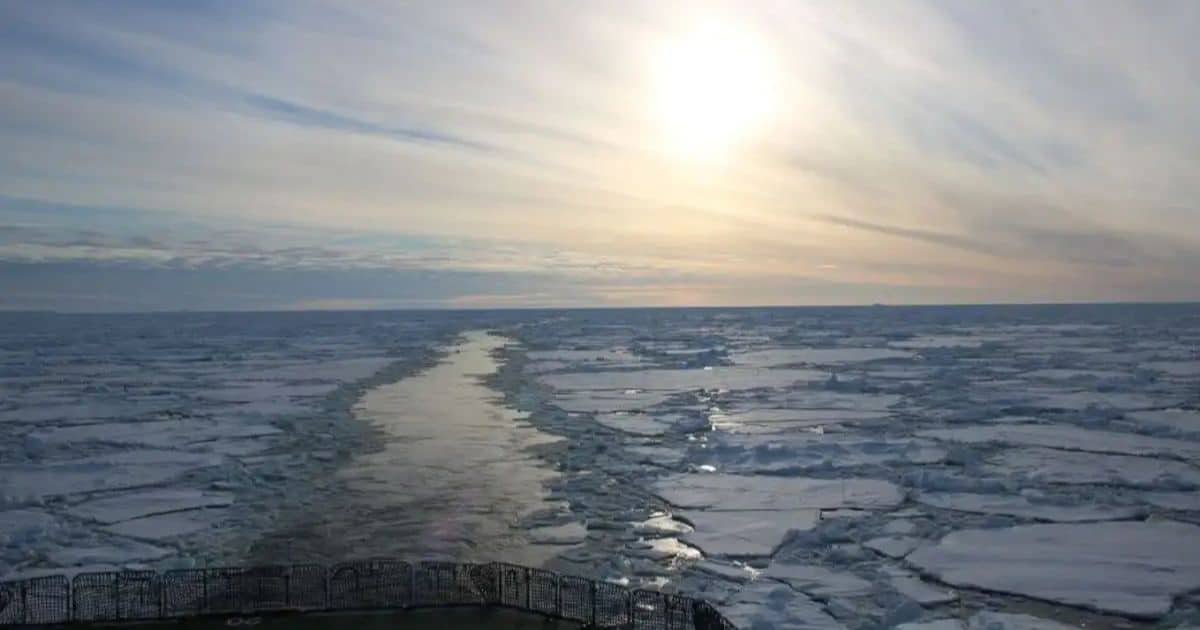 Antarctic Shipwreck Expedition Uncovers Hidden Deep-Sea Ecosystem Beneath Ice Antarctic Shipwreck Expedition Uncovers Hidden Deep-Sea Ecosystem Beneath Ice