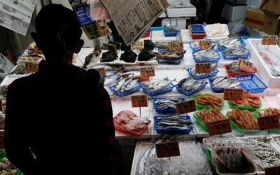 TODAYSTANCE China Signals Ban on Japanese Seafood Imports as Taiwan Dispute Escalates