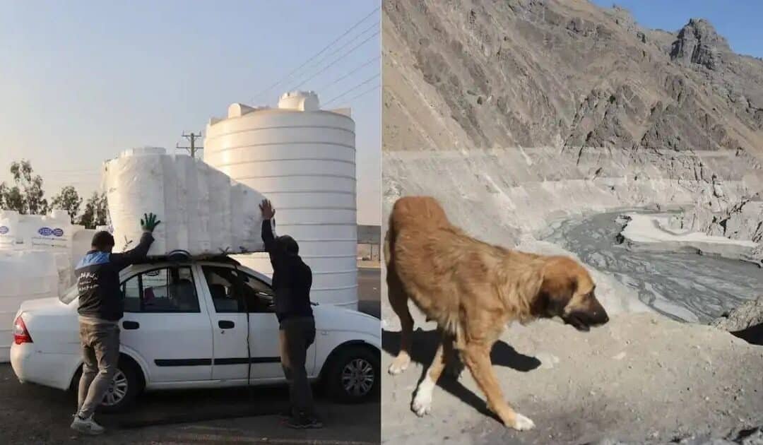 Iran Faces “Water Apocalypse” as 15 Provinces Run Dry, Tehran on Brink of Evacuation
