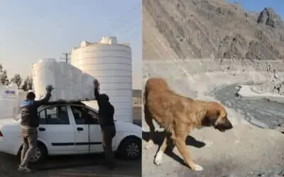 Iran Faces “Water Apocalypse” as 15 Provinces Run Dry, Tehran on Brink of Evacuation