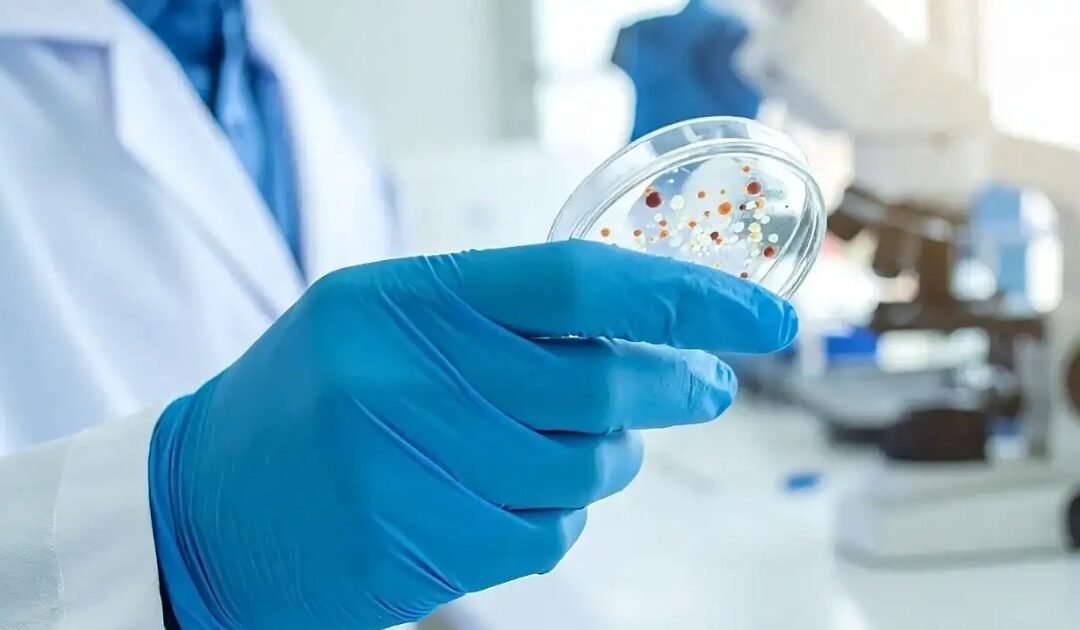 UK Scientists Harness AI to Battle Rising Superbug Threat