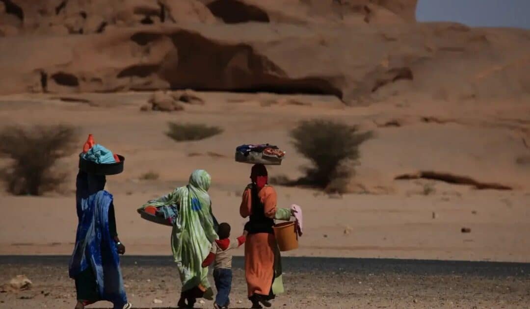 Climate Refugees as Political Weapons: Will Flood-Driven Migration Topple Governments Before Sea Levels Do?