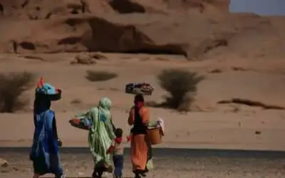 Climate Refugees as Political Weapons: Will Flood-Driven Migration Topple Governments Before Sea Levels Do?