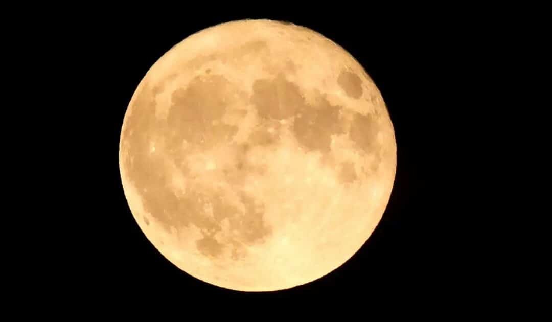 Cold Supermoon to Shine Highest as the Final Full Moon of 2025