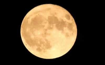Cold Supermoon to Shine Highest as the Final Full Moon of 2025
