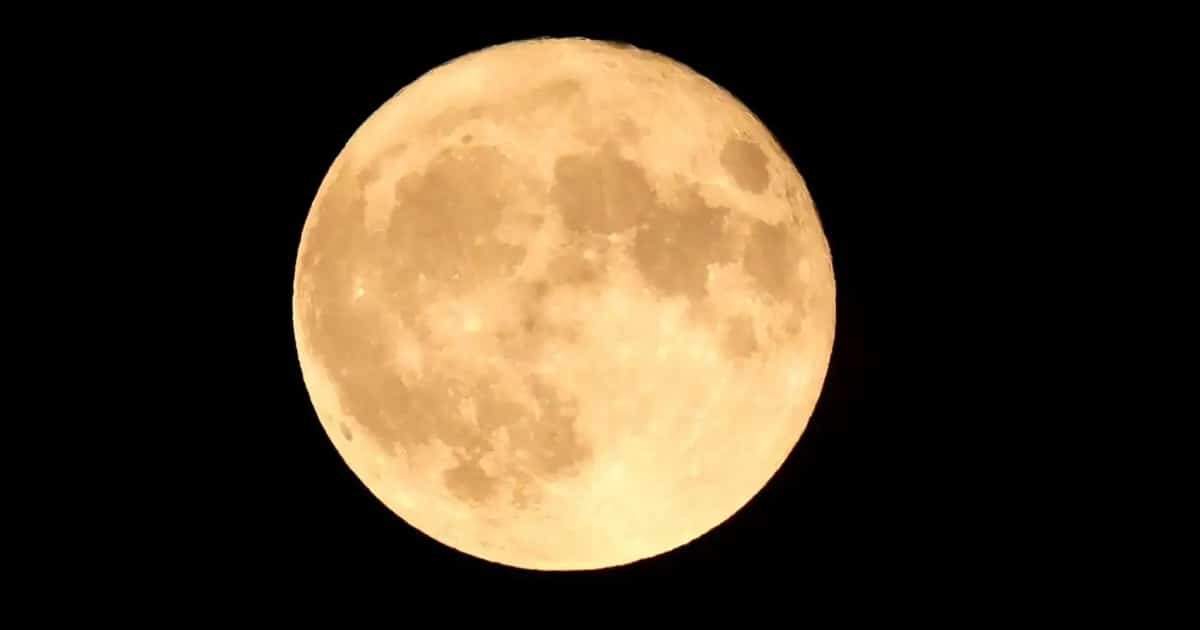 Cold Supermoon to Shine Highest as the Final Full Moon of 2025 Cold Supermoon to Shine Highest as the Final Full Moon of 2025