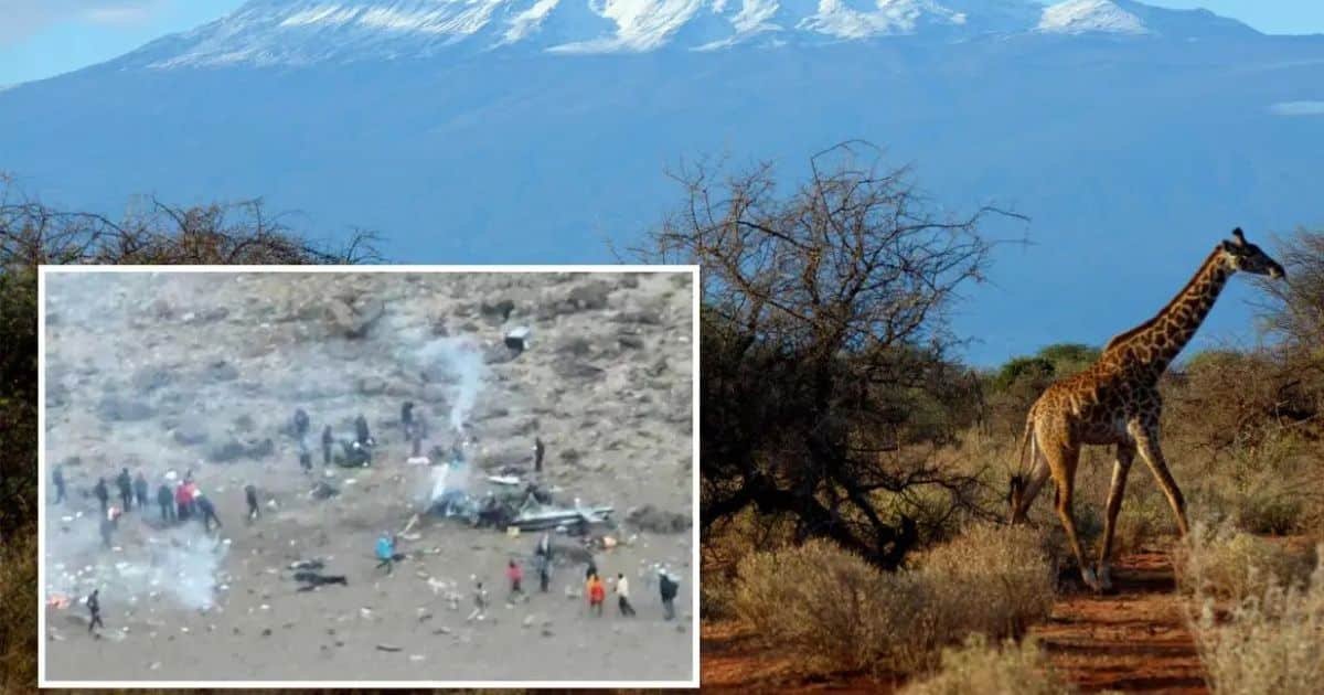 Five Confirmed Dead in Medical Rescue Helicopter Crash on Mount Kilimanjaro Five Confirmed Dead in Medical Rescue Helicopter Crash on Mount Kilimanjaro